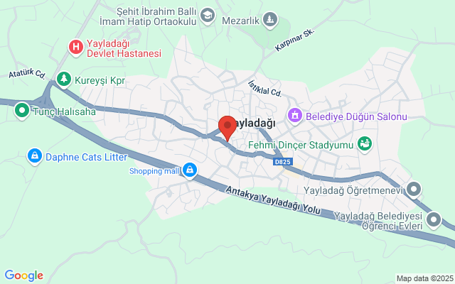 Gülşifa Eczanesi